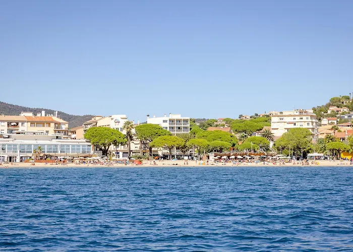 Lejlighed Les Palmiers By Interhome Sainte-Maxime